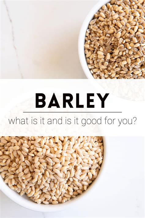 what does barley mean in alcohol.